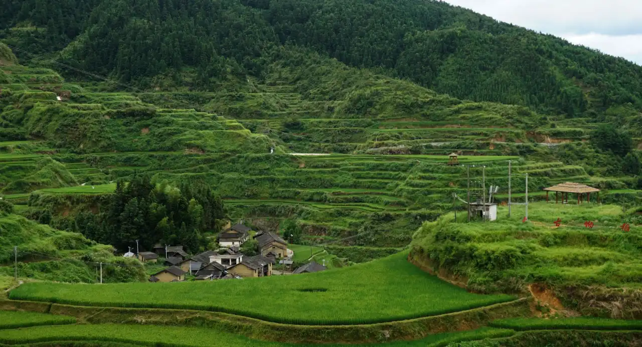 企业流程优化与降本增效的实践路径:精益管理咨询如何落地